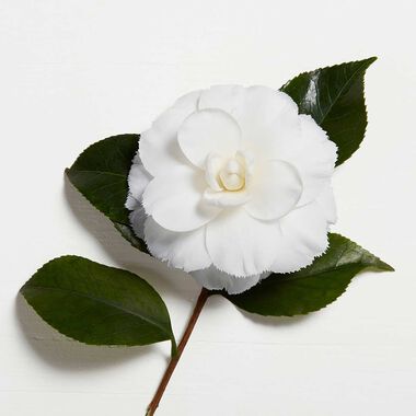 faces elixir ultime le masque hair mask 200ml