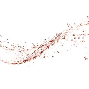 faces facial spray with aloe  herbs and rosewater