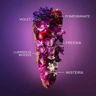 faces عطر جينزا موراساكي أو دو برفان