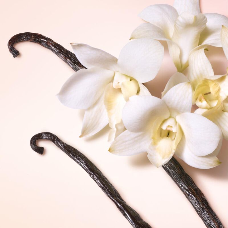 جورجو أرماني ماي وي صني فانيلا