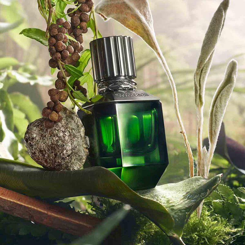 roberto cavalli paradise found for him