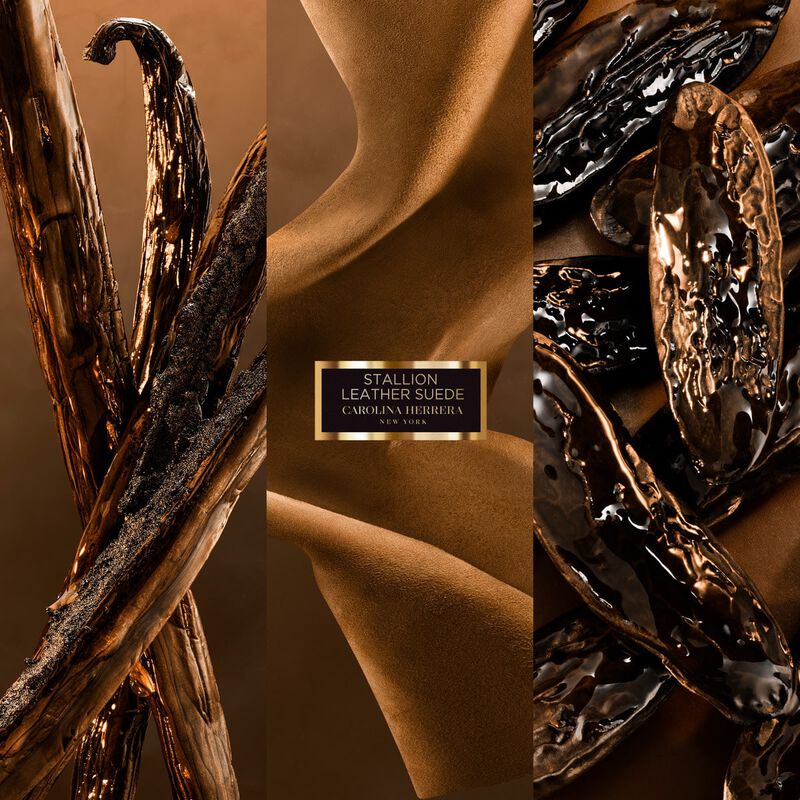 كارولينا هيريرا ستاليون ليذر سويد