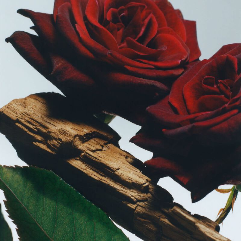 jo malone velvet rose & oud all over body spray