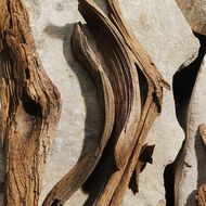 Light Blue faces light blue