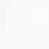 faces men s cleansing foam