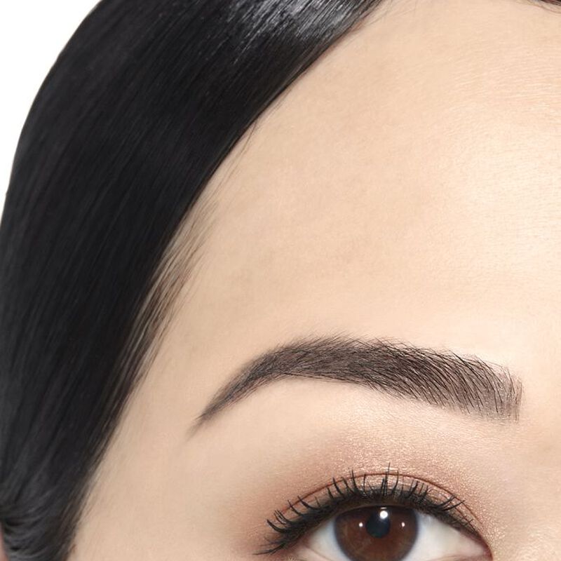 chanel ombre premiere