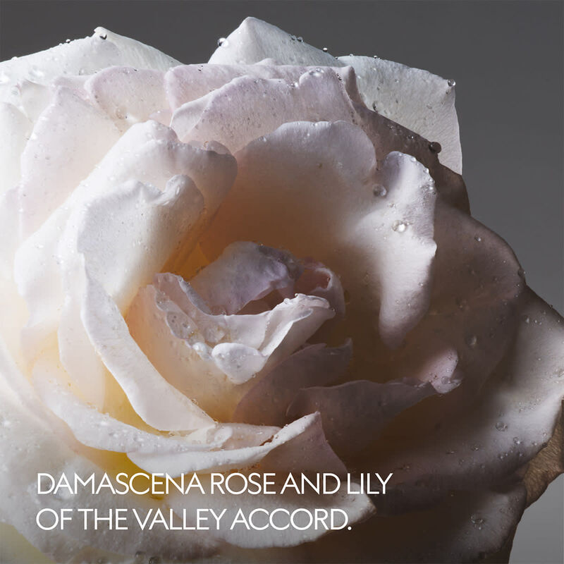 غوتشي ذا ألكيميستس غاردِن تيرز فروم ذا مون