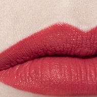 faces rouge allure ink