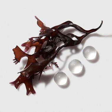 faces chronologiste bain r g n rant revitalizing shampoo 250ml