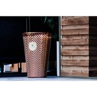 faces whispers of nectar