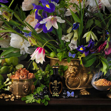 faces ذا ألكيميستس غاردِن ذا هارت أوف ليو