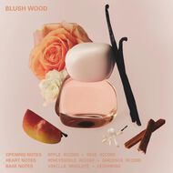 Mood Stones Collection - Blush Wood faces mood stones collection blush wood