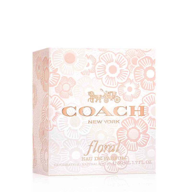 كوتش مجموعة كوتش تريو