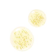 faces abeille royale advanced youth watery oil