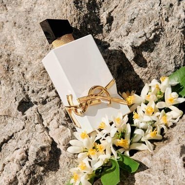 faces ليبر لو نويه