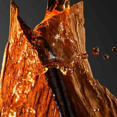 faces the collection noble wood eau de parfum