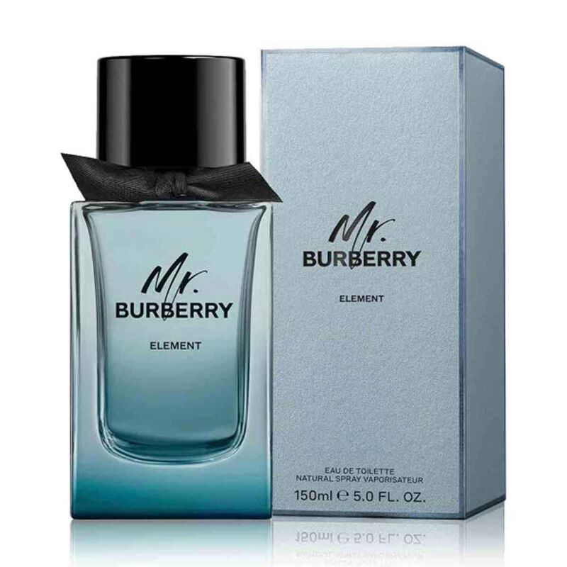 burberry burberry mr. burberry element eau de toilette