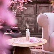 faces the ritual of sakura mini fragrance sticks