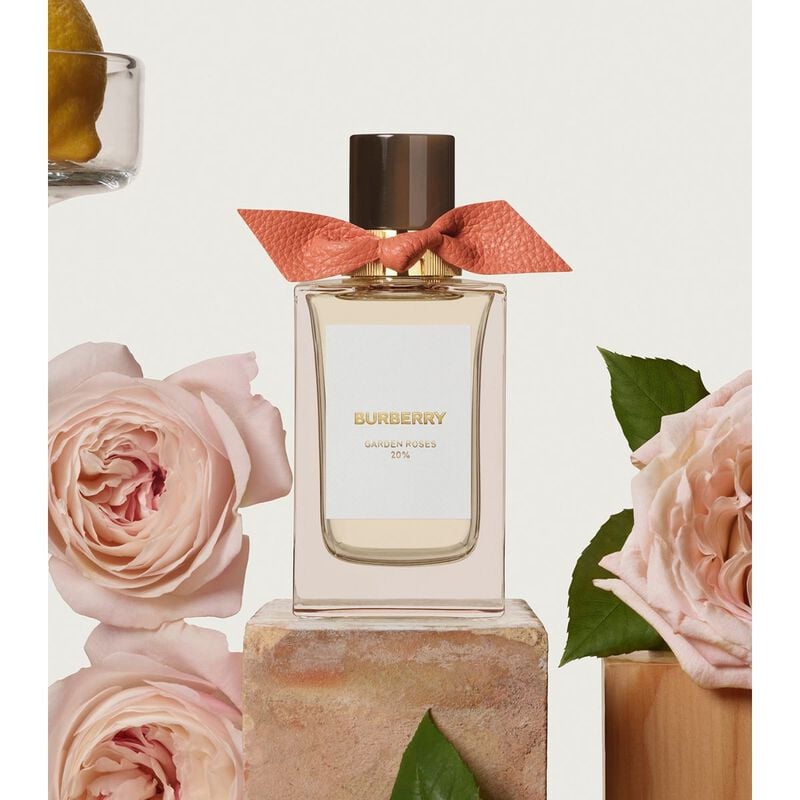 burberry garden roses