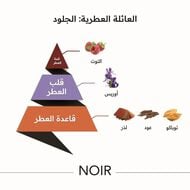 Noir Oil for Home Fragrance Device faces noir oil for home fragrance device