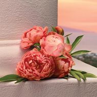 ماء عطر ماي ديفوشن إينتنس faces ماء عطر ماي ديفوشن إينتنس