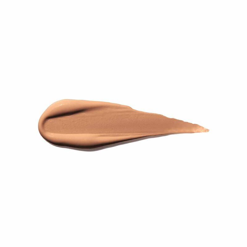 shiseido synchro skin selfrefreshing concealer