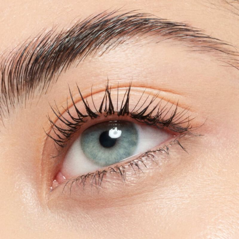 catrice lash brow designer shaping and conditioning mascara gel