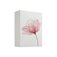 The Ritual of Ayurveda Large faces the ritual of ayurveda large