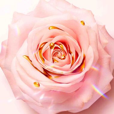 faces عطر إيدول لو دو بارفان نيكتار أو دو برفان