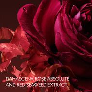 faces ذا ألكيميستس غاردِن روزا إندكاندشينتي