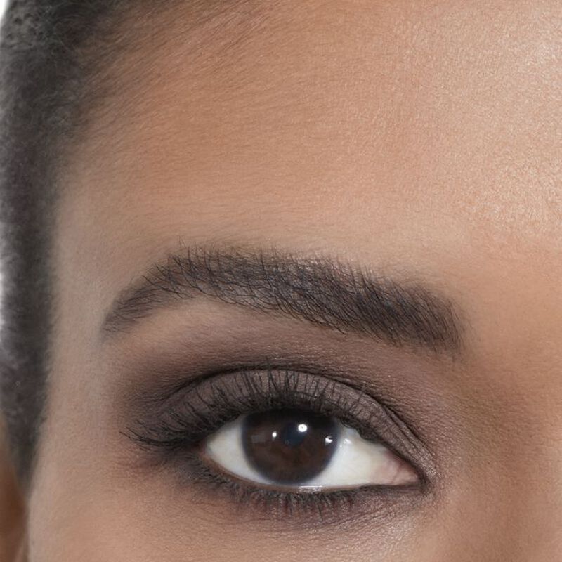 chanel ombre premiere