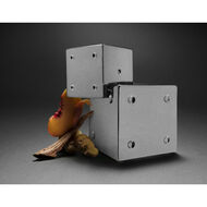 faces يور تورن