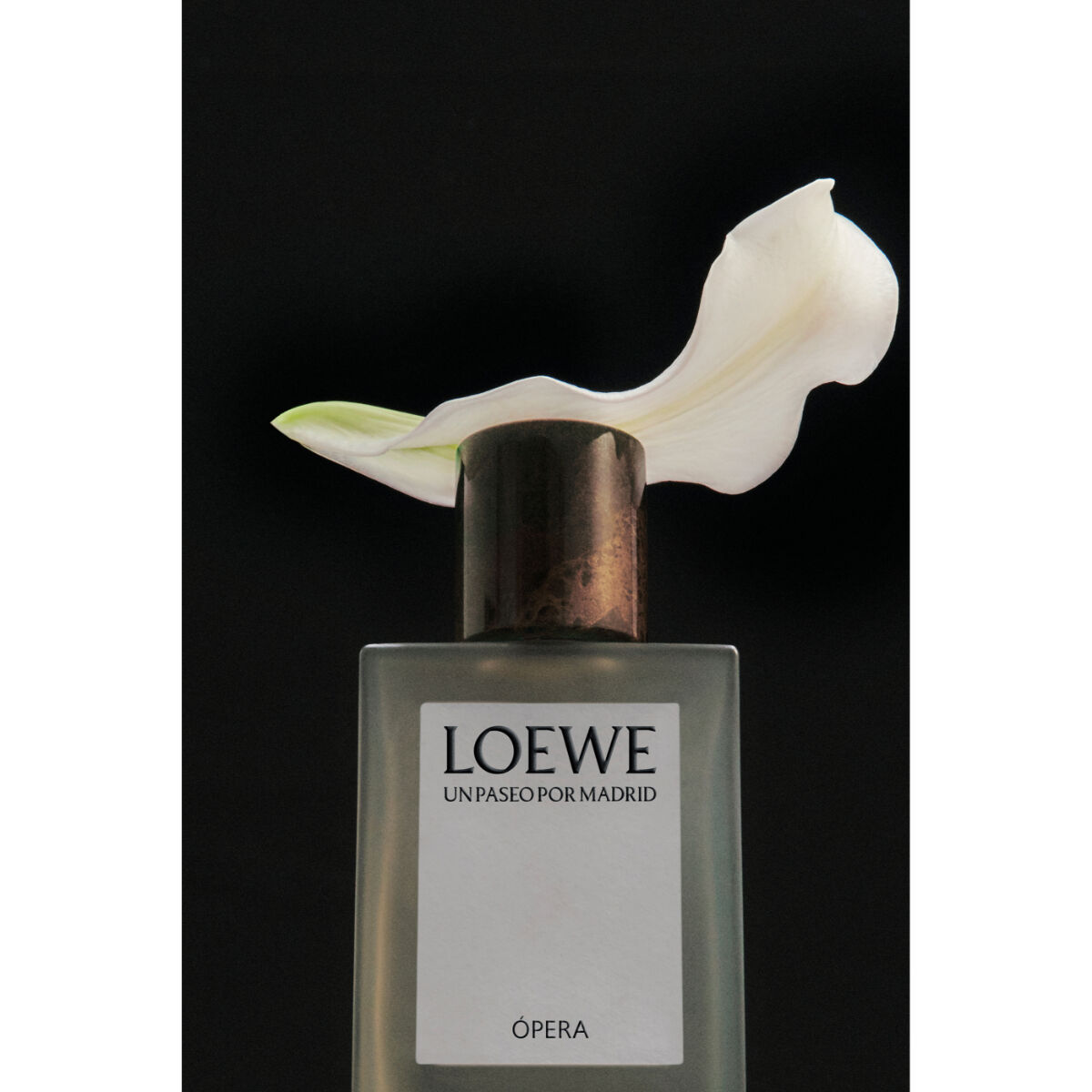 Loewe Un Paseo Por Madrid Opera Eau de Parfum