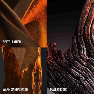 faces وان مليون العود الذهبي العطر المركز