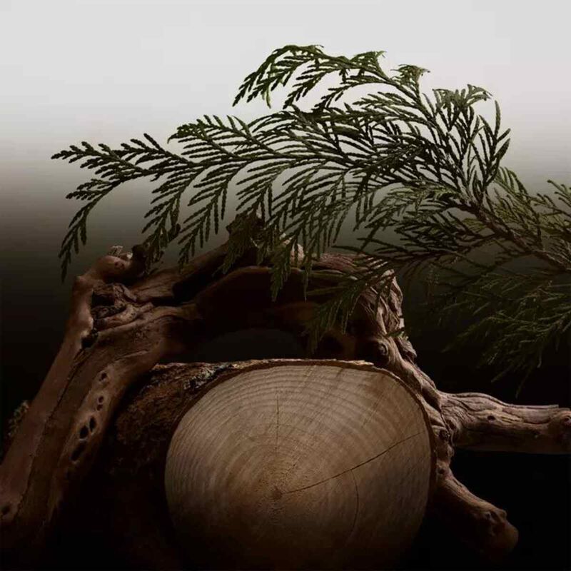 بربري هيرو بارفان