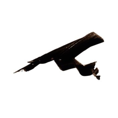 faces آيلاينر سيغنيتشر ختم أسود