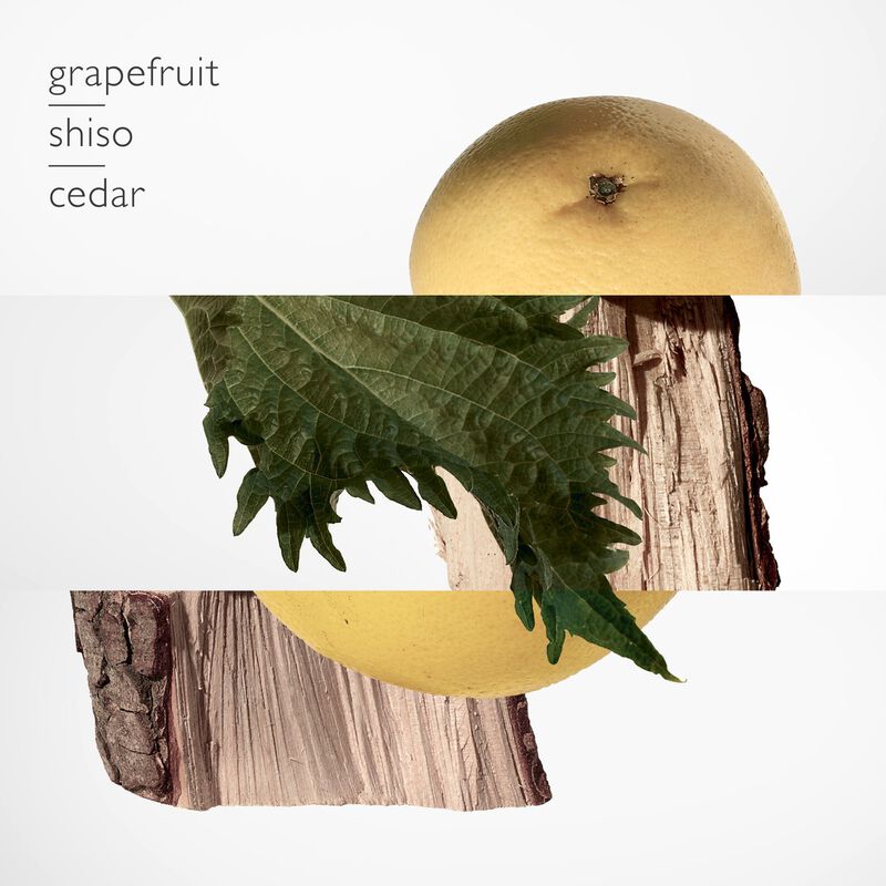 هيرميس عطر تير ديرميس