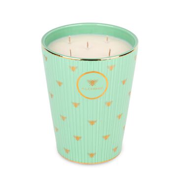 faces شمعة حديقة زايد