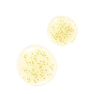 Abeille Royale Advanced Youth Watery Oil faces abeille royale advanced youth watery oil