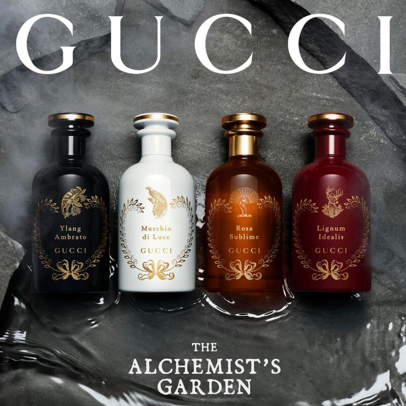 gucci alchemist's garden lignum idealis