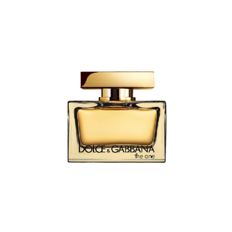 dolce & gabbana the on intense