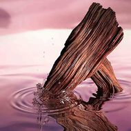 Desert Eden Eau de Parfum faces desert eden eau de parfum