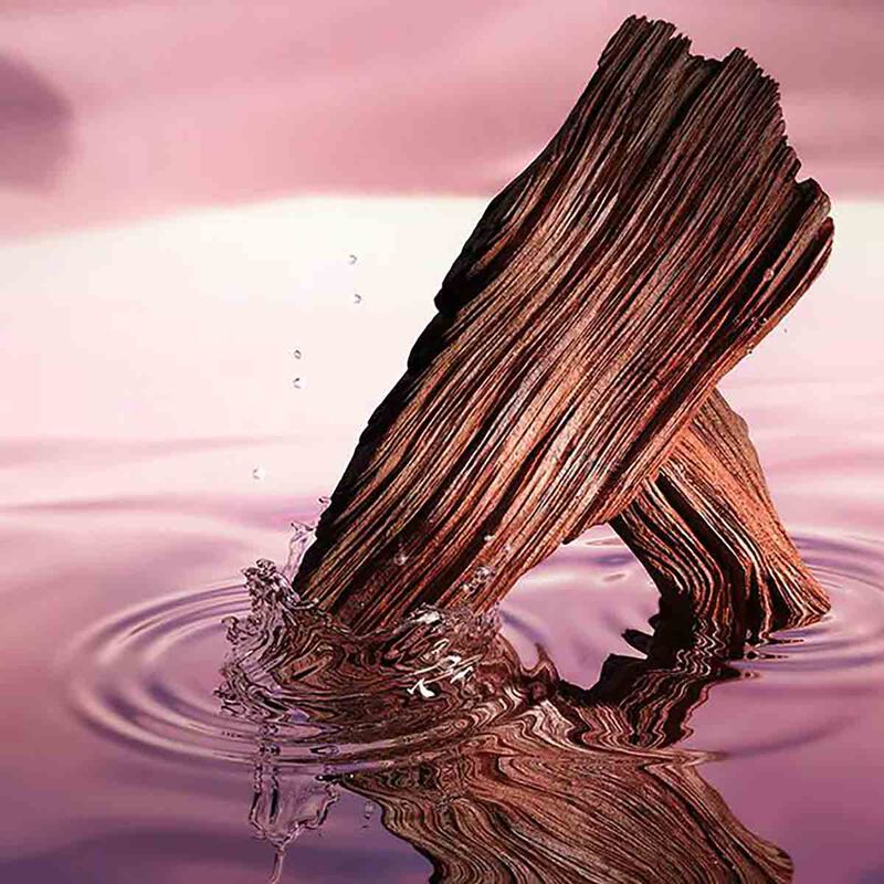 estee lauder desert eden eau de parfum