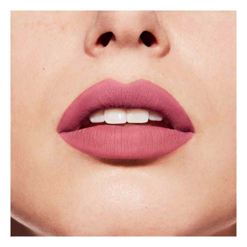 bourjois rouge velvet hyppink chic lip kit