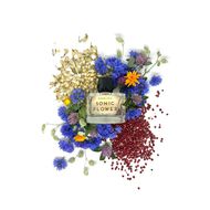 عطر سونيك فلاور faces عطر سونيك فلاور