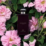 Taif Rose Cologne Intense faces taif rose cologne intense
