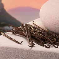 faces my devotion intense