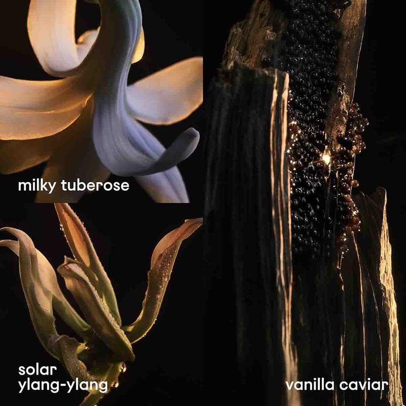 rabanne lady million fabulous eau de parfum intense 80ml