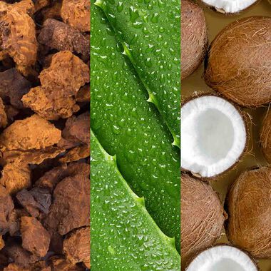 faces facial spray with aloe  adaptogens and coconut