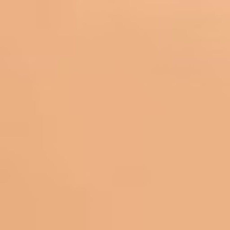 سيسلي كريم أساس إسفنجي فيتو بلانك لو كاشون